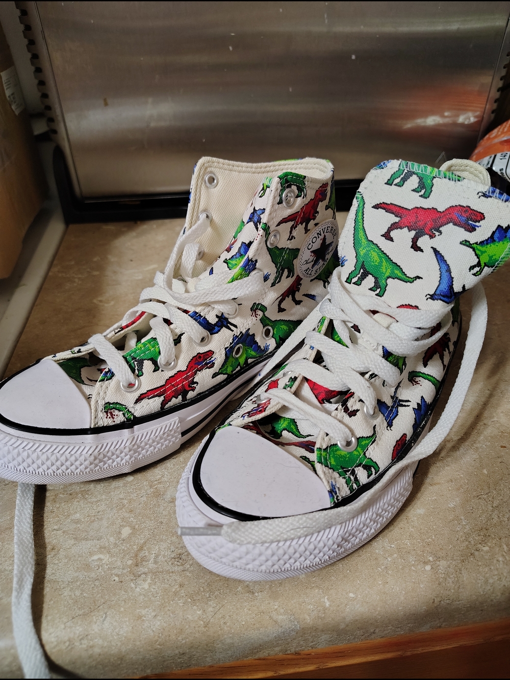 Converse High Top Sneakers with Colorful Dinosaur Print